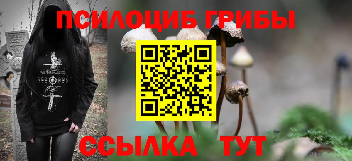 Псилоцибиновые грибы мицелий  Галлюциногенные грибы Magic Shrooms  купить наркоту  Кстово  Вход с VPN 