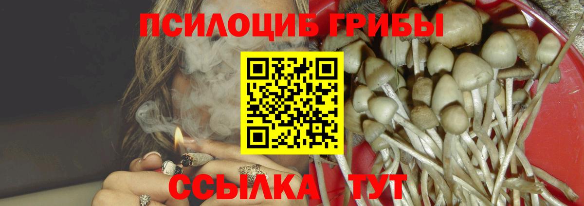 Галлюциногенные грибы MAGIC MUSHROOMS Кстово